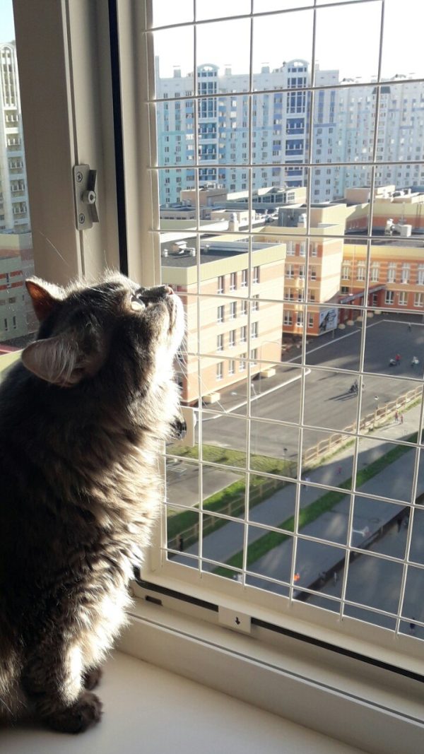 антикошка купить