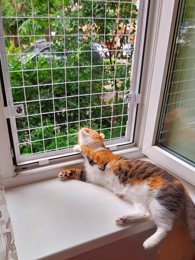 Демонстрация прочности сетки с замками