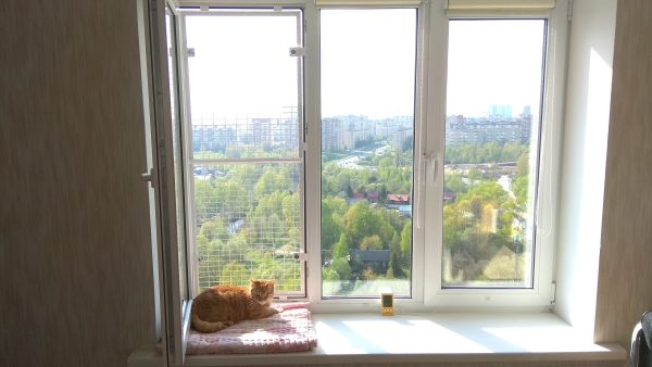 антикошка на пластиковые окна