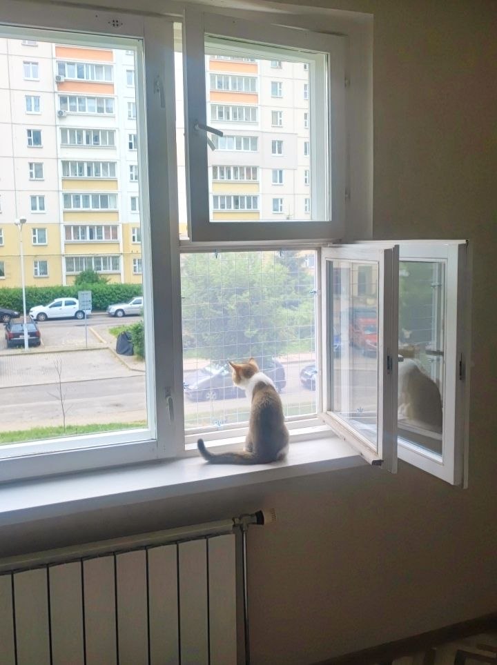 Решетка антикошка с москитной сеткой на деревянном окне с форточкой без сверления